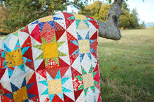 Load image into Gallery viewer, Sparkle - An Urban Folk quilt pattern from Blue Nickel Studios